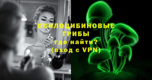 дмт Бугульма
