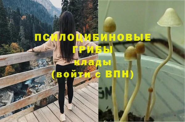 дмт Бугульма