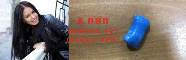 шишки Богородицк
