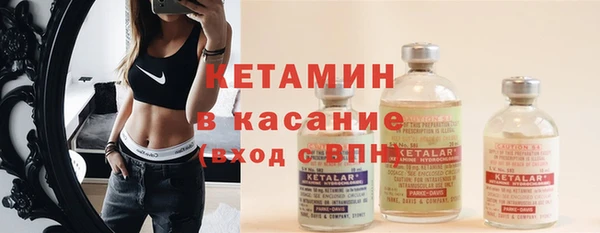 шишки Богородицк