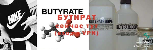стаф Бородино