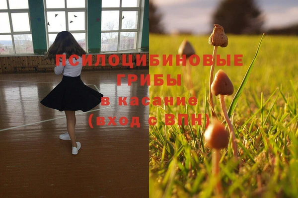 шишки Богородицк