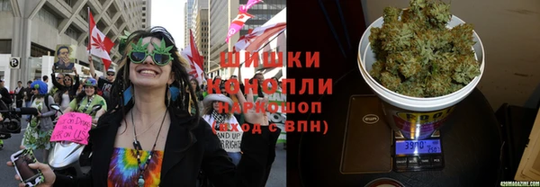 шишки Богородицк