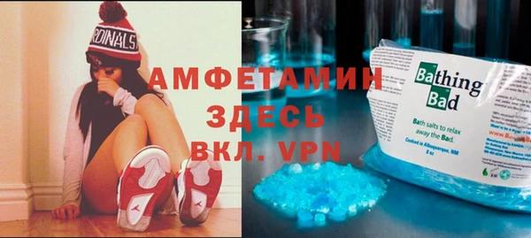 шишки Богородицк