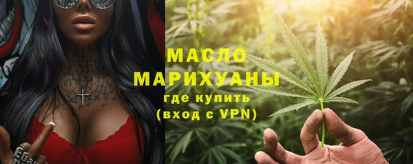 стаф Бородино